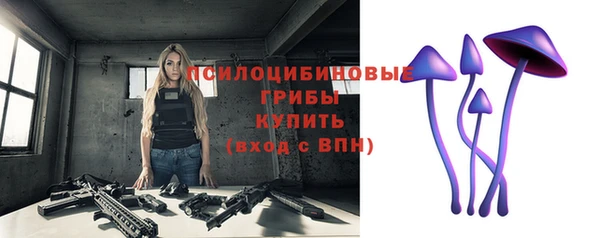 apvp Горняк