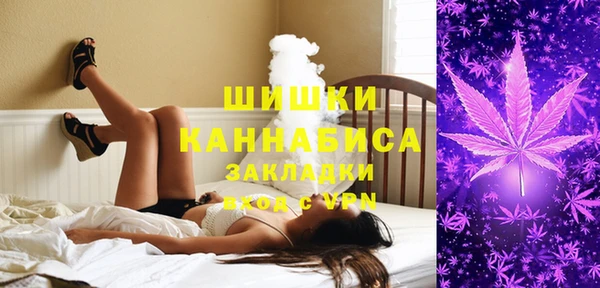 apvp Горняк