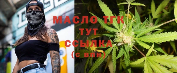 apvp Горняк