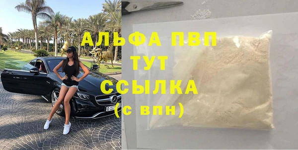 apvp Горняк